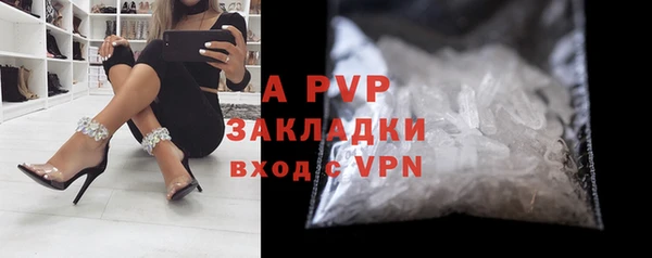 PSILOCYBIN Краснослободск