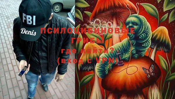 mdpv Костерёво