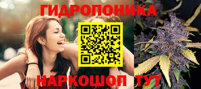 a pvp Комсомольск-на-Амуре
