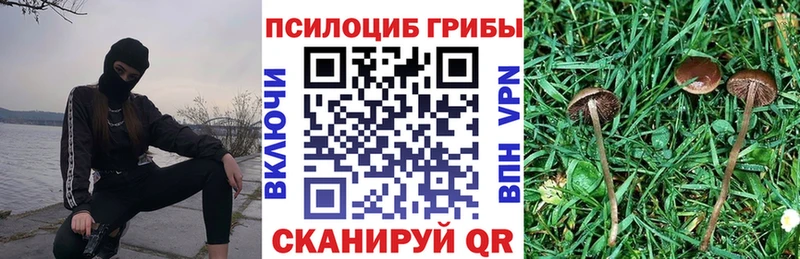 Псилоцибиновые грибы мухоморы  купить  сайты  Кумертау 